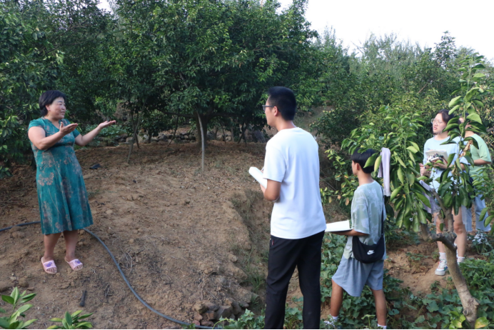大学生走进巫山 了解乡村振兴下的农产品发展现状